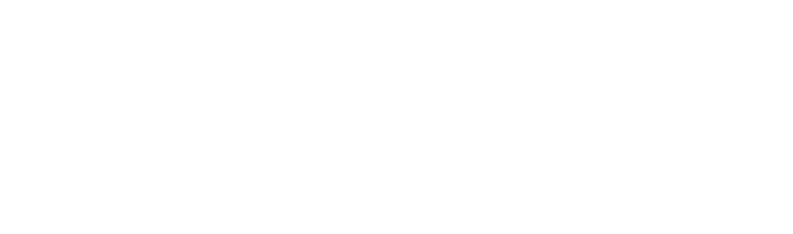 SociallyConnected all white linear logo